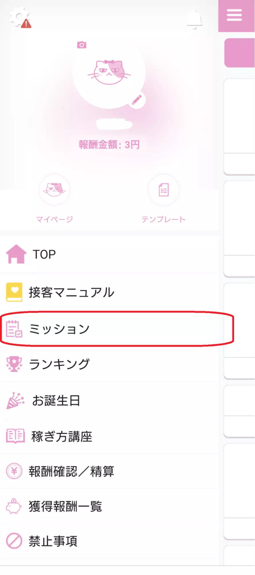 ベリーのミッションタグのキャプチャ