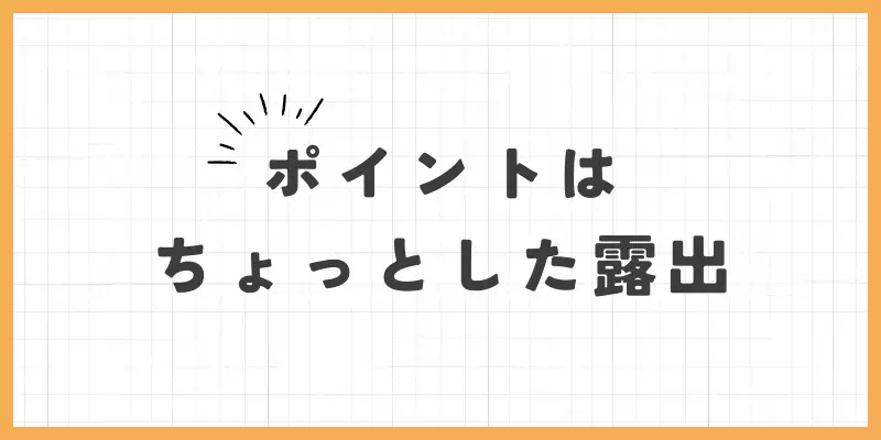 ポイントはちょっとした露出のバナー