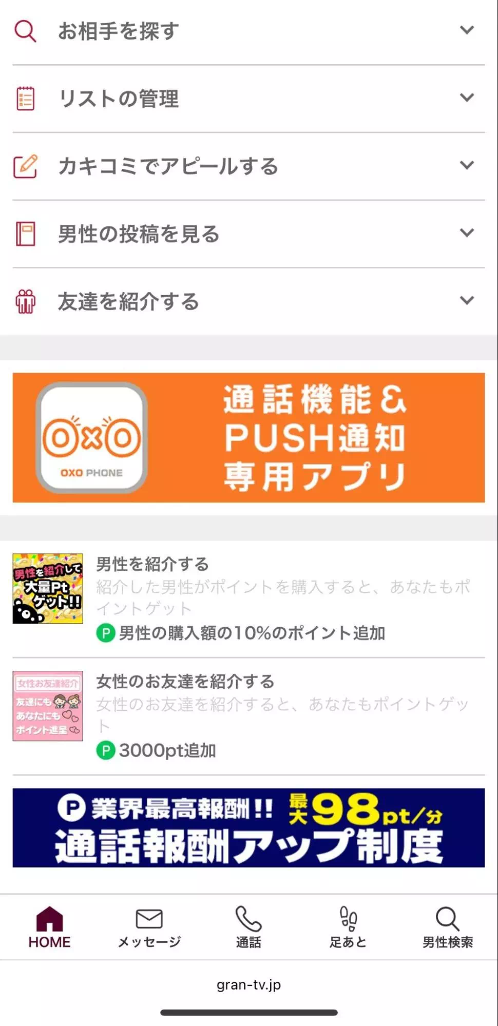 グランのキャプチャ画像