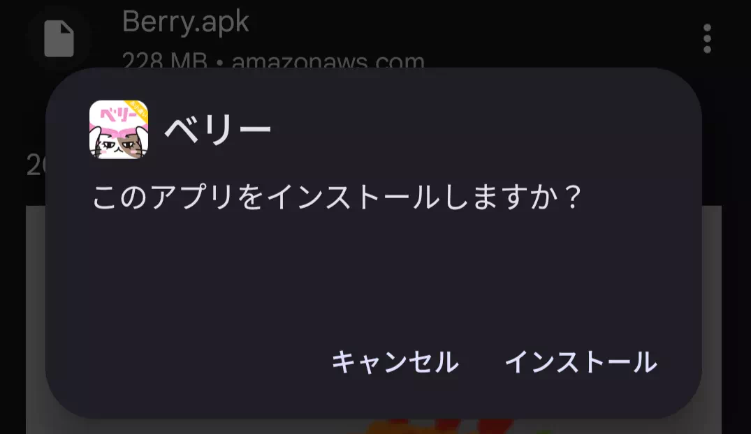 ベリーのインストールの画像