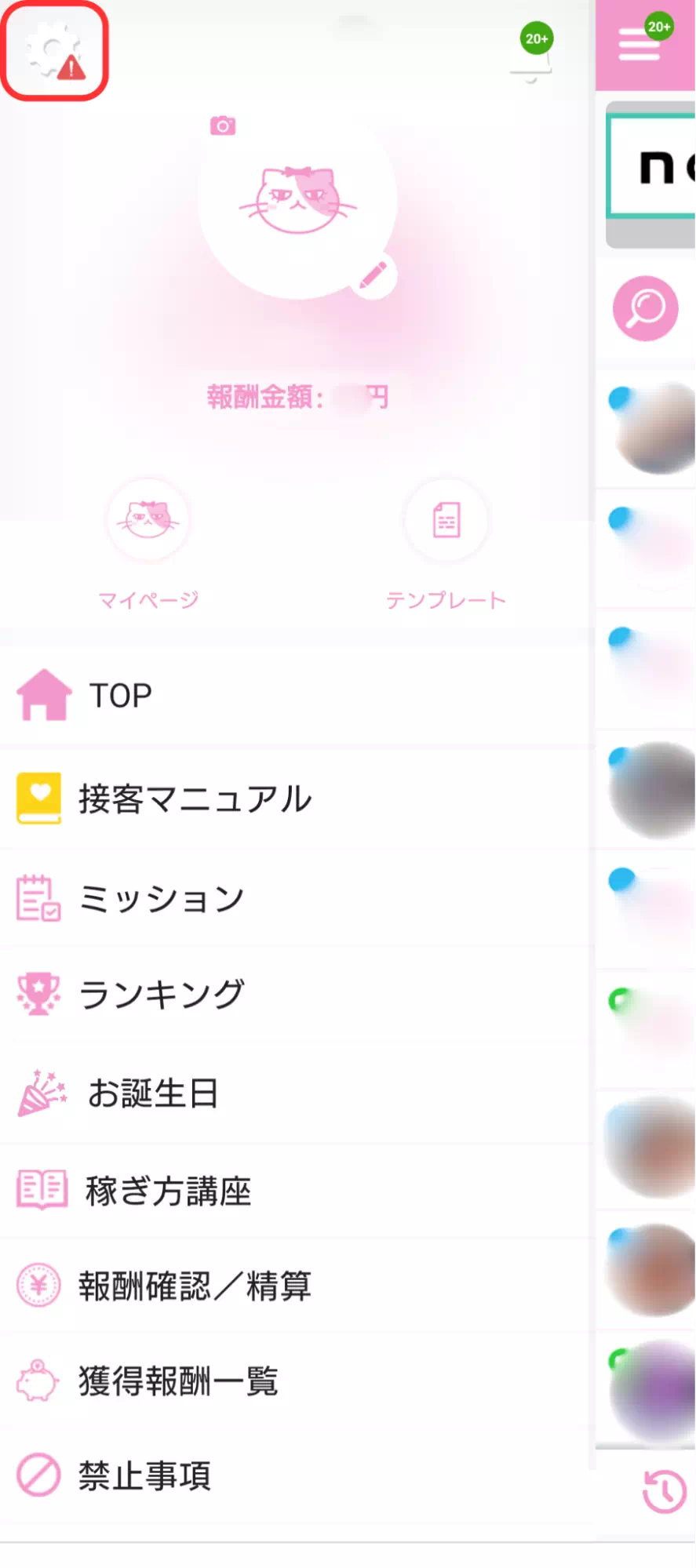 ベリーの設定画面